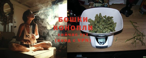 ECSTASY Бородино
