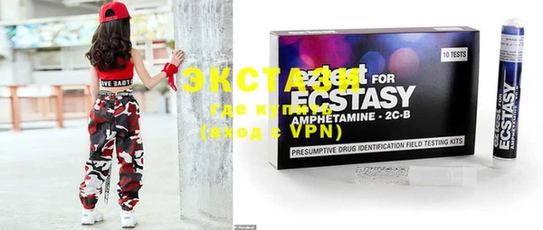 ECSTASY Бородино