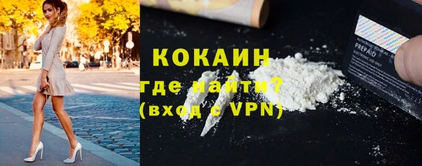 ECSTASY Бородино