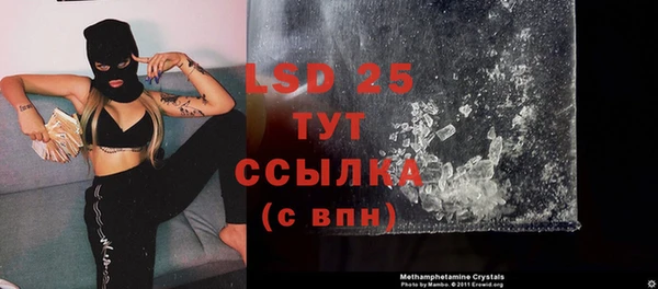 ECSTASY Бородино