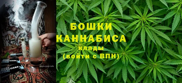 бошки Бронницы