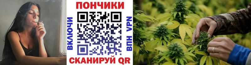 ОМГ ОМГ   Можайск  Марихуана LSD WEED 